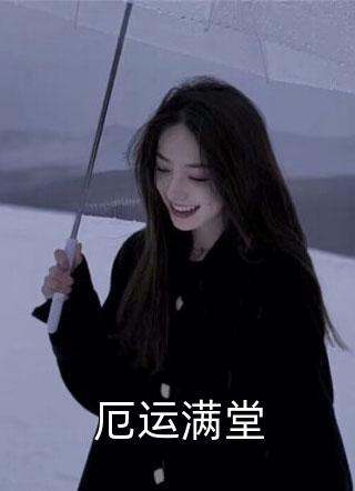 雪落前，你我道别小说